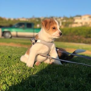 Meet your Posher, Julia